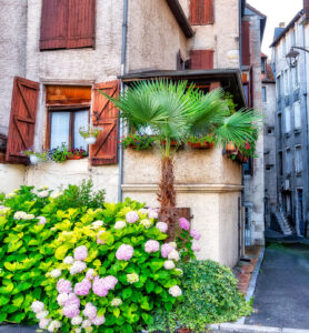 Old Pau Houses Jigsaw Puzzle