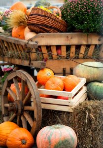 Old Pumpkin Wagon Jigsaw Puzzle