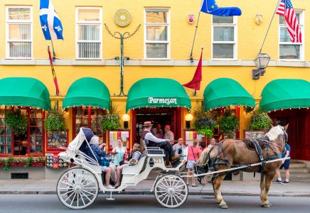 Old Quebec Carriage Jigsaw Puzzle