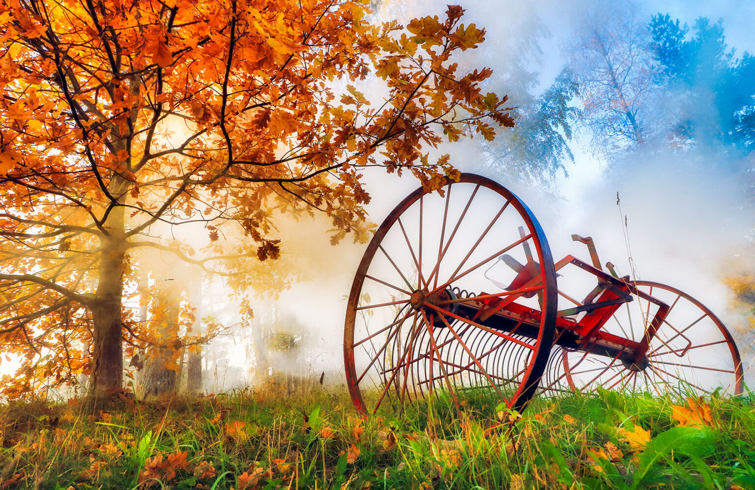 Old Rake Jigsaw Puzzle