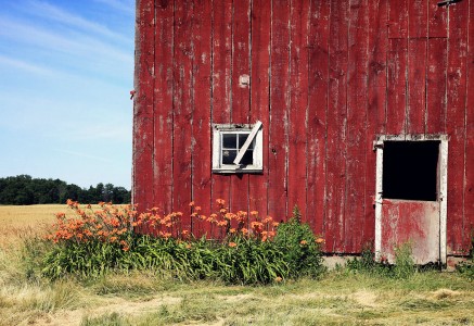 Old Red Wall Jigsaw Puzzle