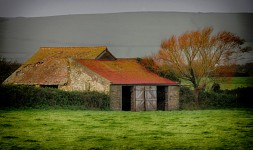 Old Stone Shed