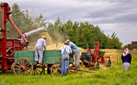 Old Time Harvest Jigsaw Puzzle