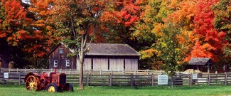 Old Tractor and Barn