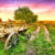 Old Wagon Jigsaw Puzzle