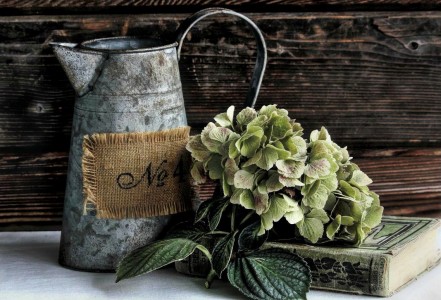 Old Watering Can Jigsaw Puzzle