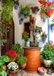 Old Well and Flowers