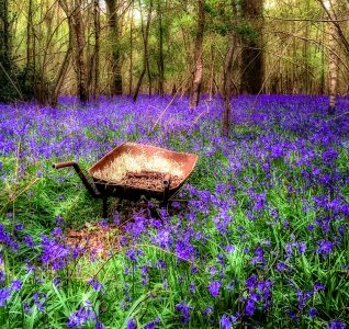 Old Wheelbarrow Jigsaw Puzzle