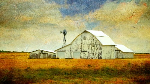 Old White Barn Jigsaw Puzzle