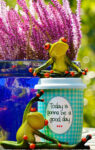 Optimistic Frogs