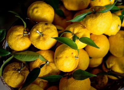 Orange Basket Jigsaw Puzzle