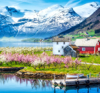 Orchard in the Fjord Jigsaw Puzzle Orchard in the Fjord Jigsaw Puzzle