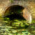 Mystery Puzzle 2023 Week 34