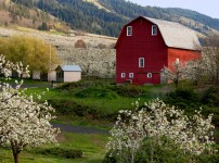 Oregon Farm