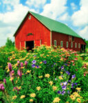 Osceola Barn