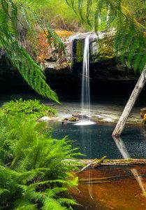 Otway Waterfall Jigsaw Puzzle