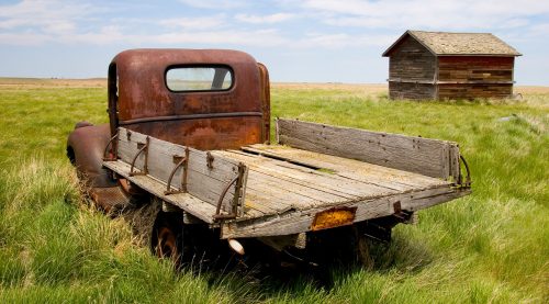 Out to Pasture Jigsaw Puzzle