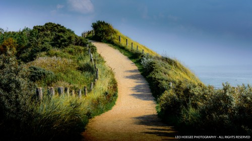 Over the Dune Jigsaw Puzzle