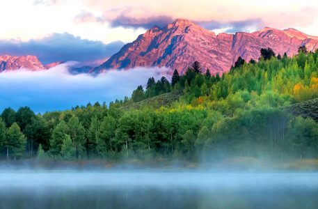 Oxbow Bend Jigsaw Puzzle