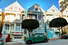 Painted Ladies