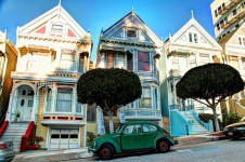 Painted Ladies