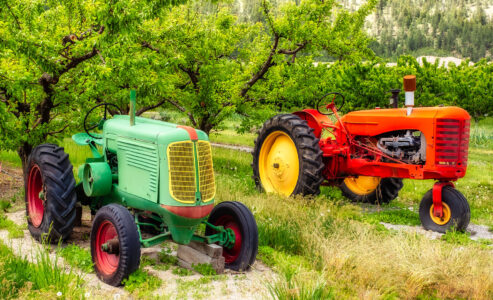 Pair of Tractors Jigsaw Puzzle