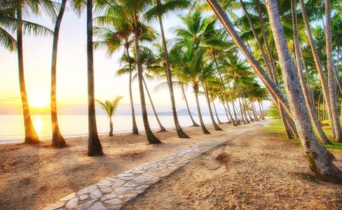 Palm Cove Beach Jigsaw Puzzle