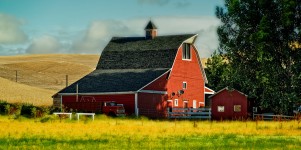 Palouse Barn