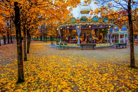 Paris Carousel Jigsaw Puzzle