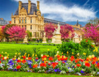 Paris in Bloom