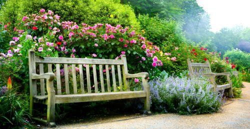 Park Benches Jigsaw Puzzle