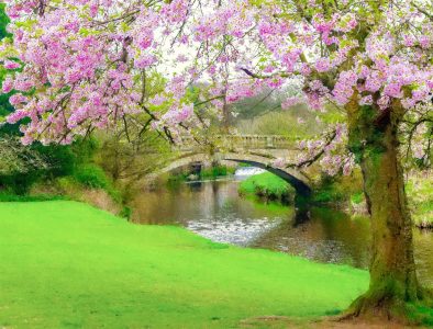 Park Bridge Jigsaw Puzzle