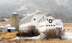 Park City Barn