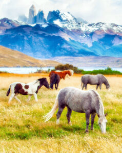 Park Horses Jigsaw Puzzle