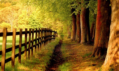 Park Path Jigsaw Puzzle