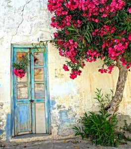 Paros Facade Jigsaw Puzzle