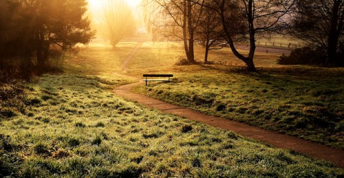 Path into the Light Jigsaw Puzzle