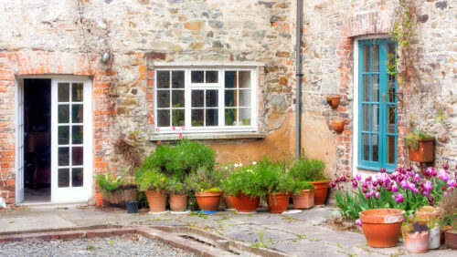 Patio Tulips Jigsaw Puzzle