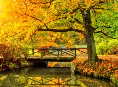 Peaceful Park Jigsaw Puzzle