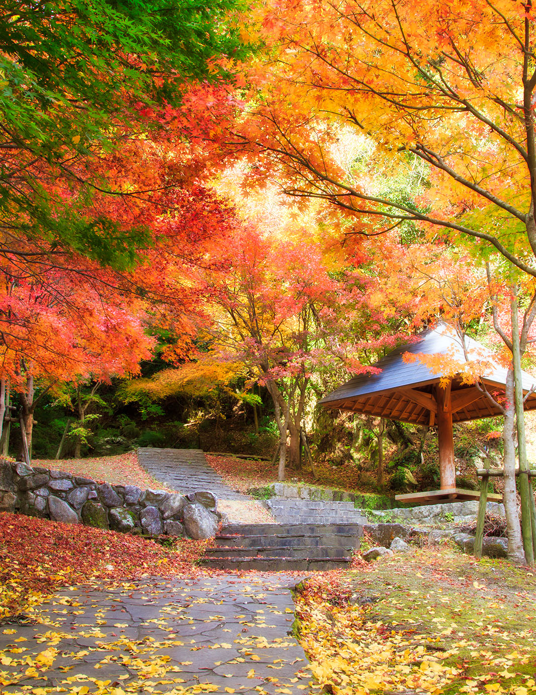 Peaceful Path Jigsaw Puzzle