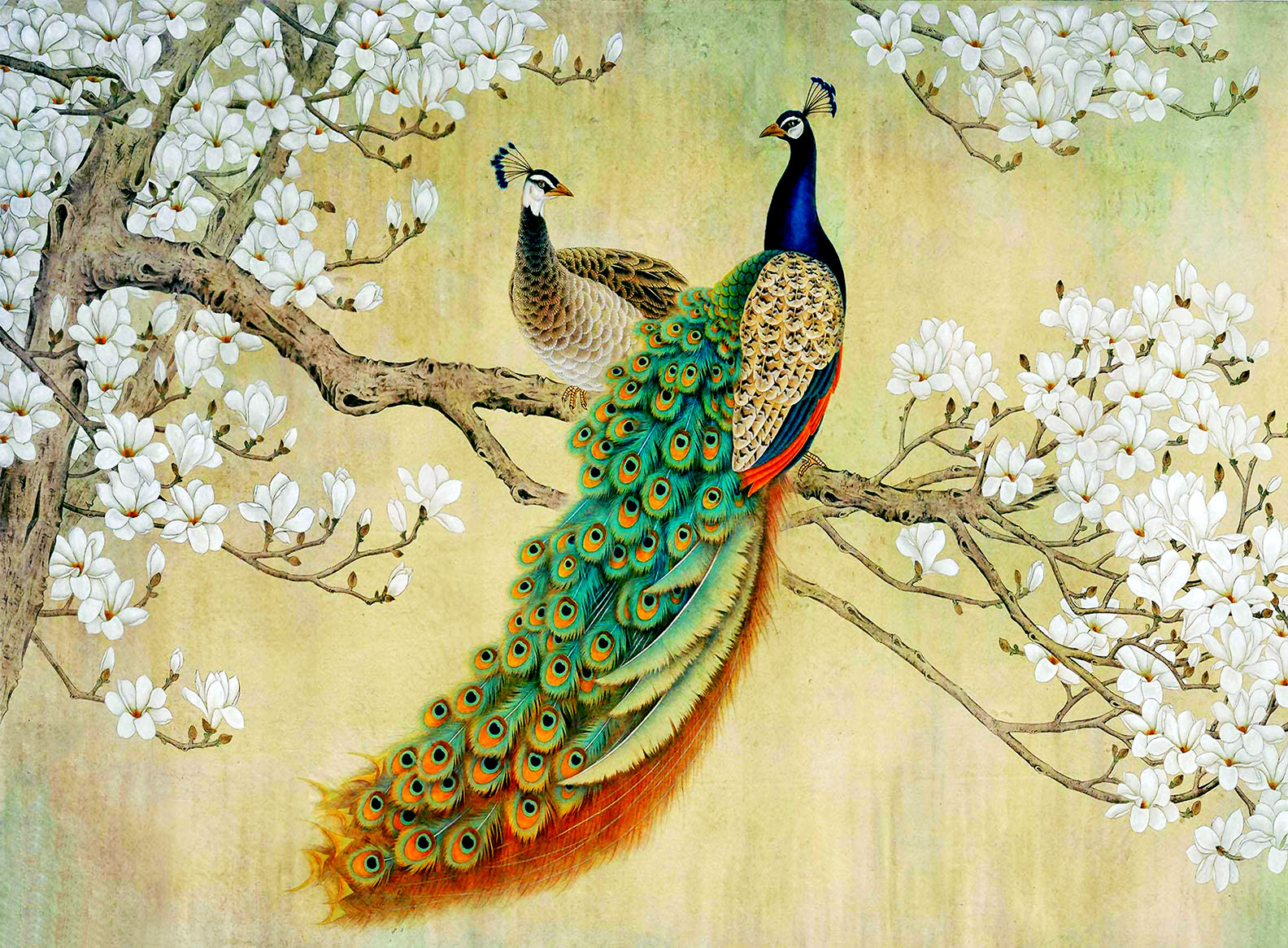 Peacocks jigsaw puzzle