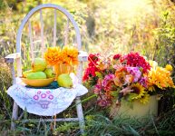 Pears and Flowers