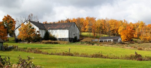 Peel Barn Jigsaw Puzzle