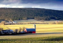 Pennsylvania Farm