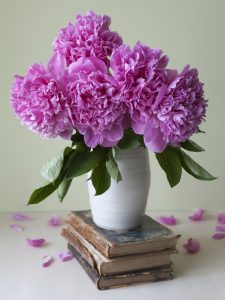 Peonies Jigsaw Puzzle