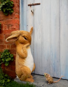 Peter Rabbit Jigsaw Puzzle