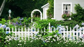 Picket Fence Flowers