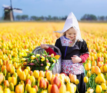 Picking Tulips Jigsaw Puzzle