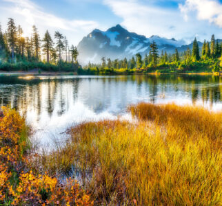 Picture Lake Jigsaw Puzzle