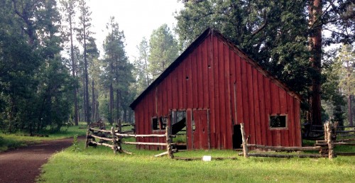 Pinetop Barn Jigsaw Puzzle